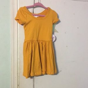 Nwt 12/24 month dds dress